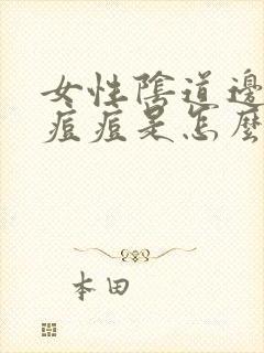 女性阴道边起了痘痘是怎么回事