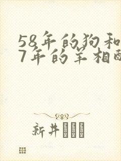 58年的狗和67年的羊相配吗