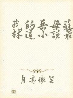 我的岳母苏沛真林道小说最新章节下载