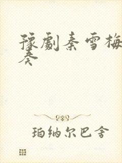 豫剧秦雪梅纯伴奏