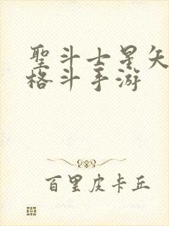 圣斗士星矢3d格斗手游