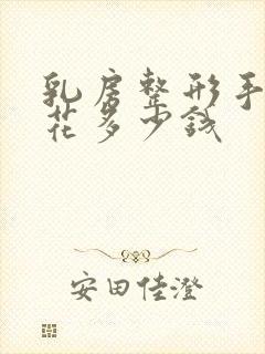 乳房整形手术要花多少钱