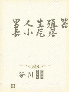 男人生殖器边缘长小疙瘩