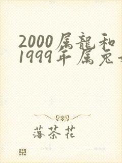 2000属龙和1999年属兔姻缘