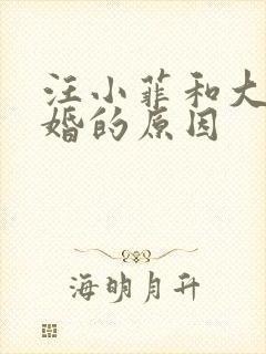 汪小菲和大s离婚的原因