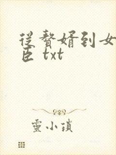 从赘婿到女帝宠臣 txt封面