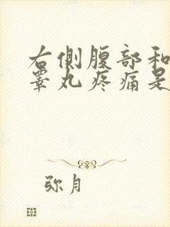 右侧腹部和右侧睾丸疼痛是怎么回事