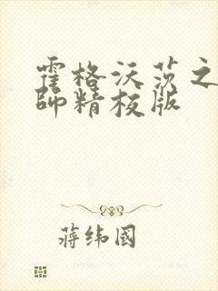 霍格沃茨之灰巫师精校版