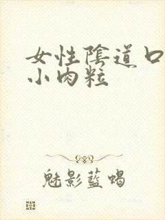 女性阴道口内有小肉粒