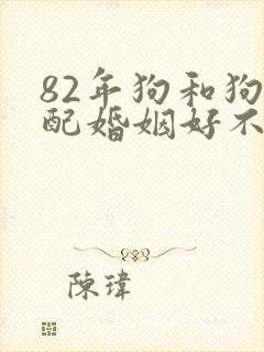 82年狗和狗相配婚姻好不好