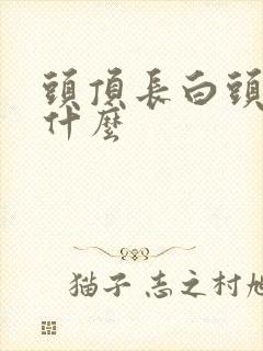 头顶长白头发吃什么