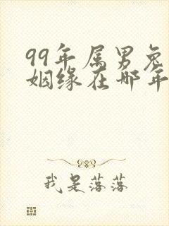 99年属男兔的姻缘在哪年