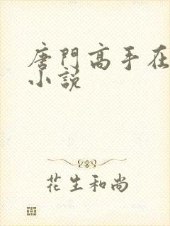 唐门高手在异世小说