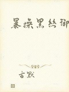 暴操黑丝御姐封面