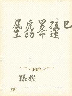 属虎男孩巳时出生的命运