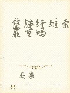 双肺纤维索条影严重吗