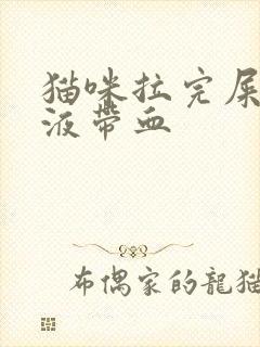 猫咪拉完屎有粘液带血封面