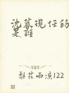 沈蓉现任的丈夫是谁