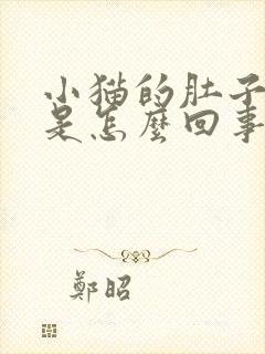 小猫的肚子很大是怎么回事