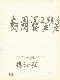 大团圆2亲情会闪闪发光免费