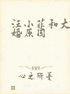 汪小菲和大s离婚原因封面