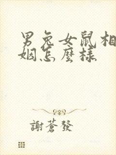 男兔女鼠相配婚姻怎么样