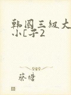 韩国三级大胸的小[子2
