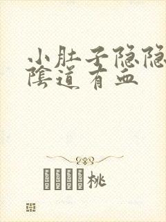 小肚子隐隐作痛阴道有血