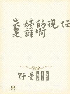 朱婷的现任丈夫是谁啊