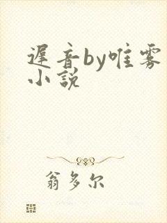 迟音by唯雾的小说