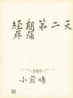 经期第二天小腹疼痛