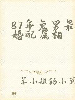 87年兔男最佳婚配属相