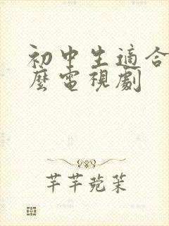 初中生适合看什么电视剧