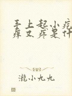 手上起小疙瘩又痒又疼是什么原因