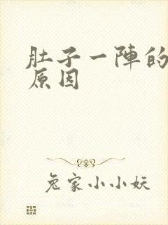 肚子一阵的痛的原因