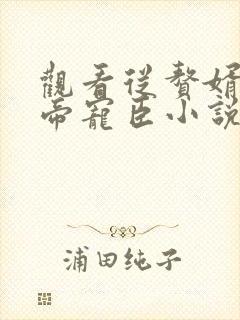 观看从赘婿到女帝宠臣小说封面