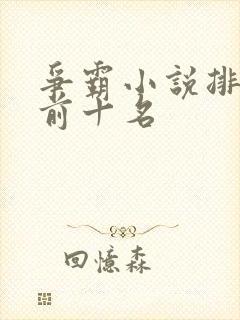 争霸小说排行榜前十名封面