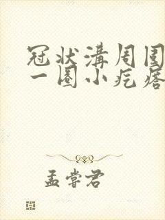 冠状沟周围长了一圈小疙瘩