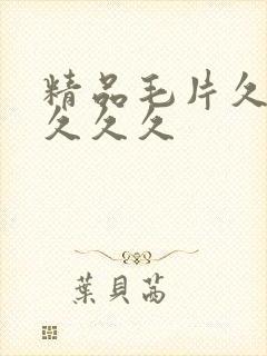 精品毛片久久久久久久