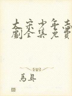 大宋少年志电视剧全集免费封面