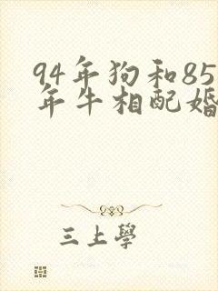 94年狗和85年牛相配婚姻如何封面