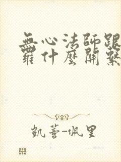 无心法师跟岳绮罗什么关系封面