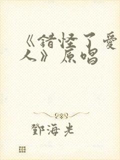 《错怪了爱我的人》原唱