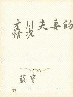 才川夫妻的恋爱情况封面