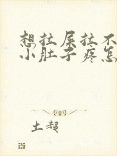 想拉屎拉不出来小肚子疼怎么回事