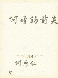 何晴的前夫是谁