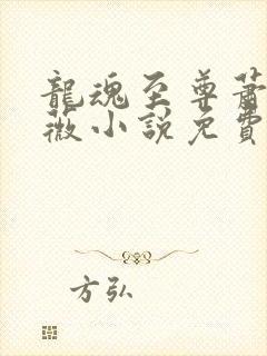 龙魂至尊萧琰艾薇小说免费阅读封面