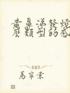 黄鼻涕发烧是什么类型的感冒