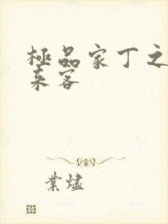 极品家丁之远方来客