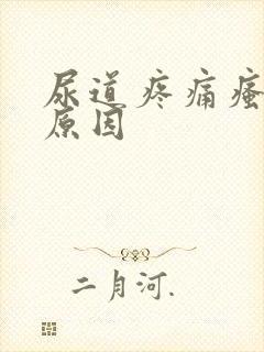 尿道疼痛瘙痒的原因